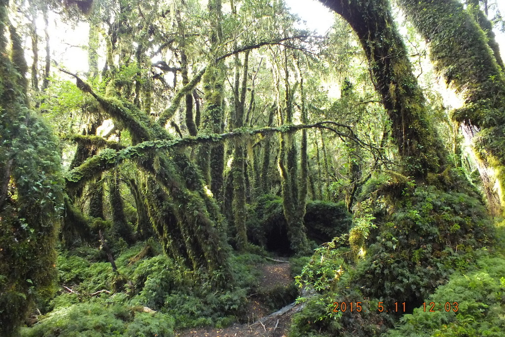 Foto: Carretera Austral - Aysen (Aisén del General Carlos Ibáñez del Campo), Chile