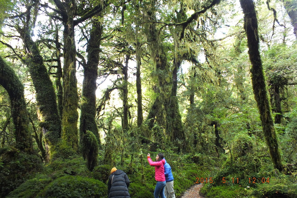 Foto: Carretera Austral - Aysen (Aisén del General Carlos Ibáñez del Campo), Chile