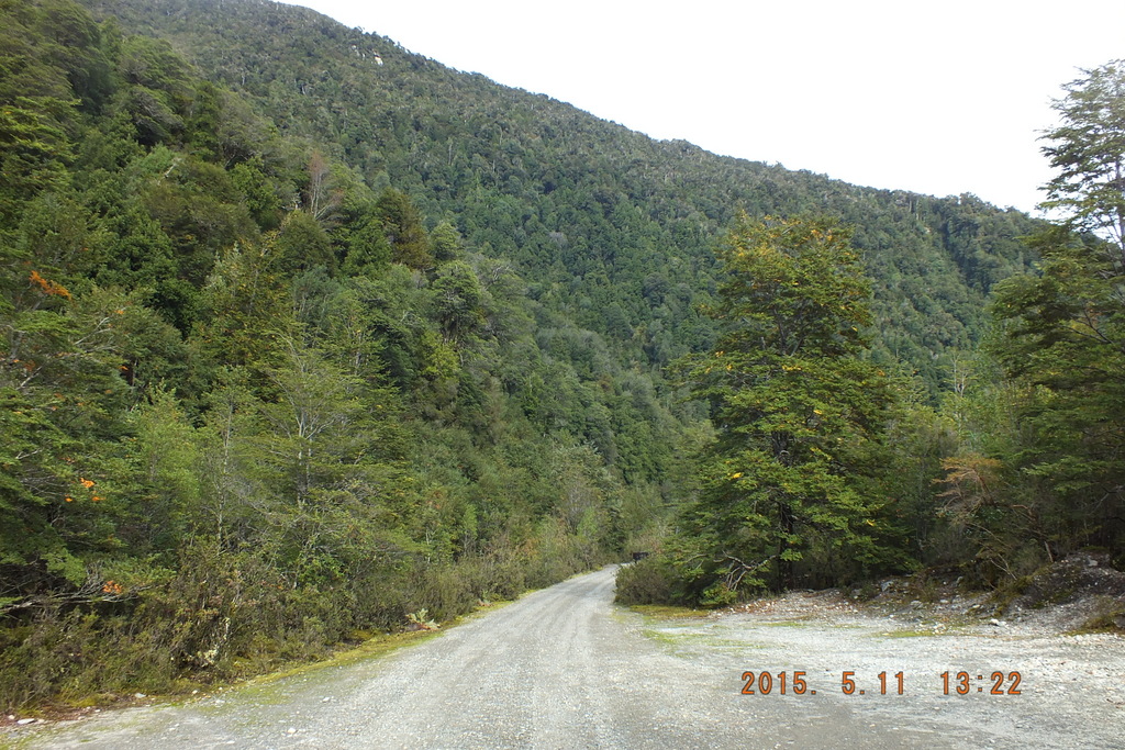 Foto: Parque Nacional Queulats - Aysen (Aisén del General Carlos Ibáñez del Campo), Chile