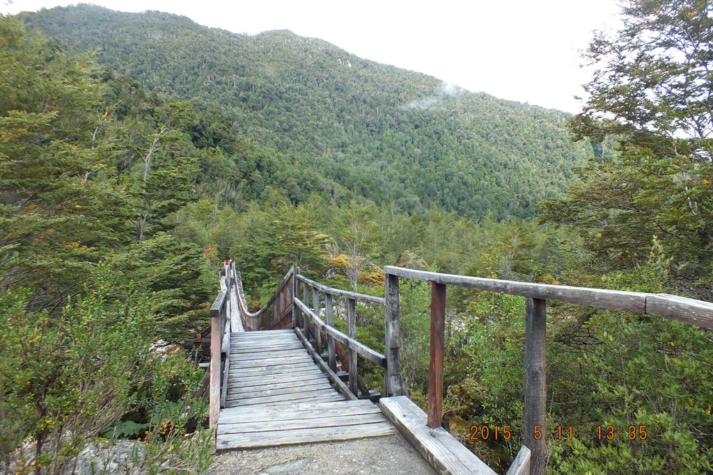 Foto: Parque Nacional Queulats - Aysen (Aisén del General Carlos Ibáñez del Campo), Chile