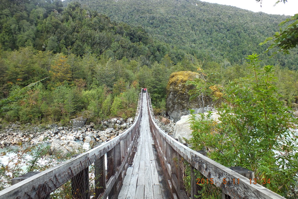Foto: Parque Nacional Queulats - Aysen (Aisén del General Carlos Ibáñez del Campo), Chile