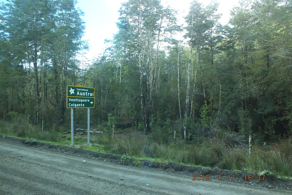 Foto: Parque Nacional Queulats - Aysen (Aisén del General Carlos Ibáñez del Campo), Chile