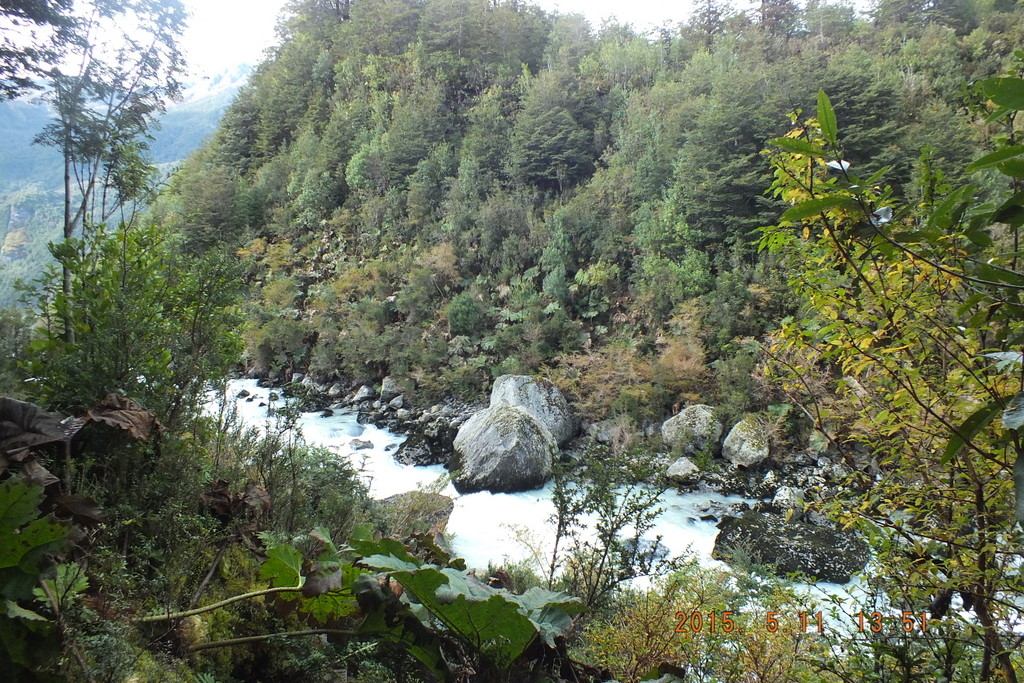 Foto: Parque Nacional Queulats - Aysen (Aisén del General Carlos Ibáñez del Campo), Chile