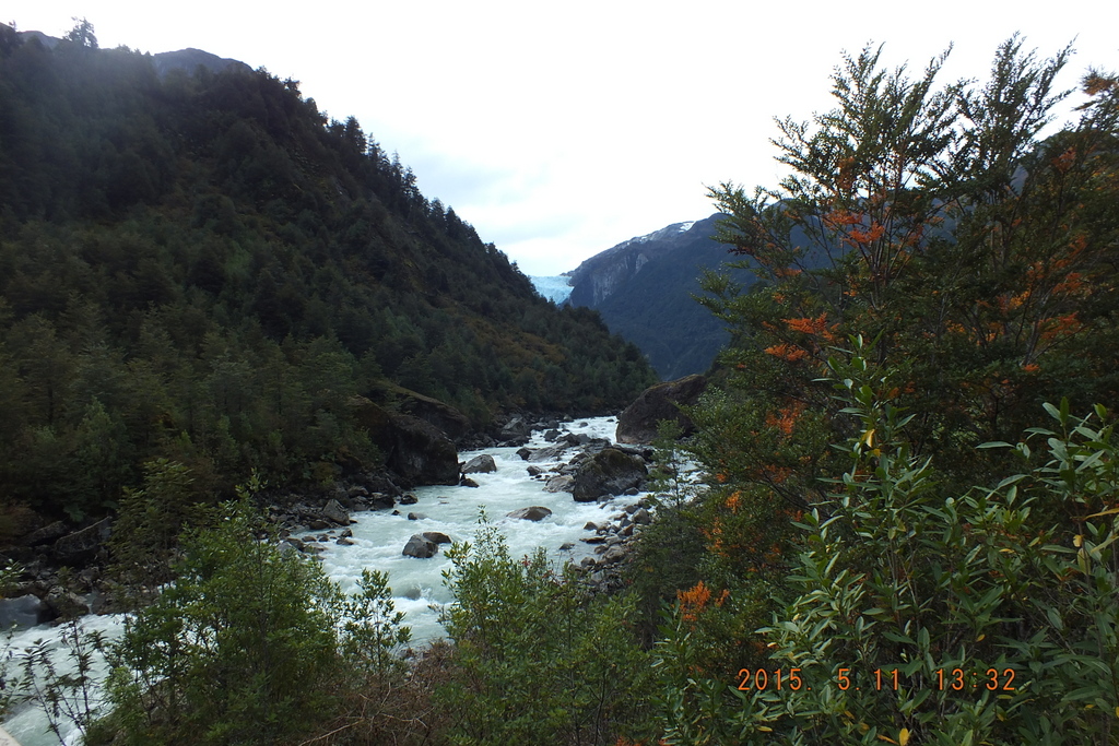 Foto: Parque Nacional Queulats - Aysen (Aisén del General Carlos Ibáñez del Campo), Chile