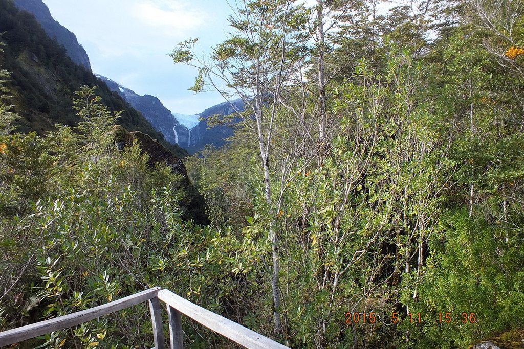 Foto: Parque Nacional Queulats - Aysen (Aisén del General Carlos Ibáñez del Campo), Chile