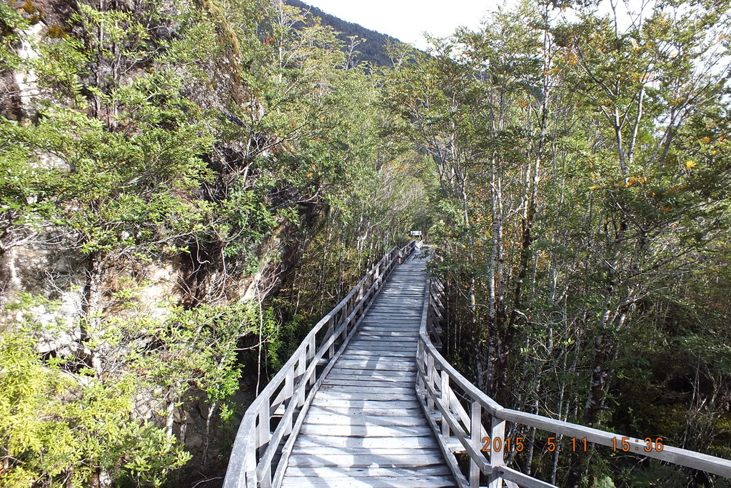 Foto: Parque Nacional Queulats - Aysen (Aisén del General Carlos Ibáñez del Campo), Chile