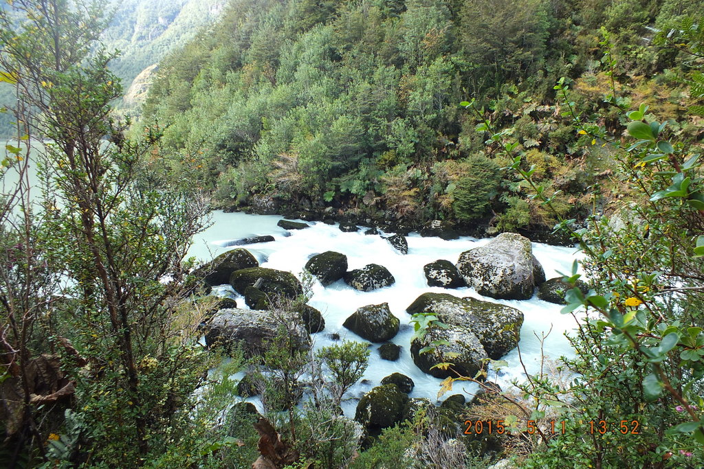 Foto: Parque Nacional Queulats - Aysen (Aisén del General Carlos Ibáñez del Campo), Chile