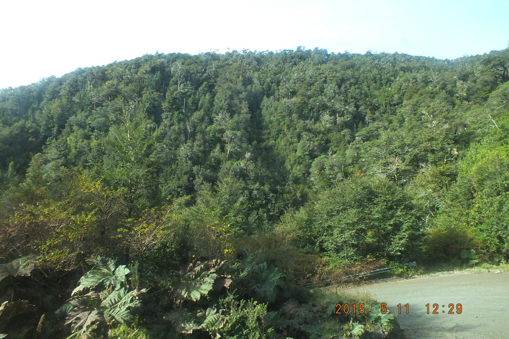 Foto: Carretera Austral - Aysen (Aisén del General Carlos Ibáñez del Campo), Chile