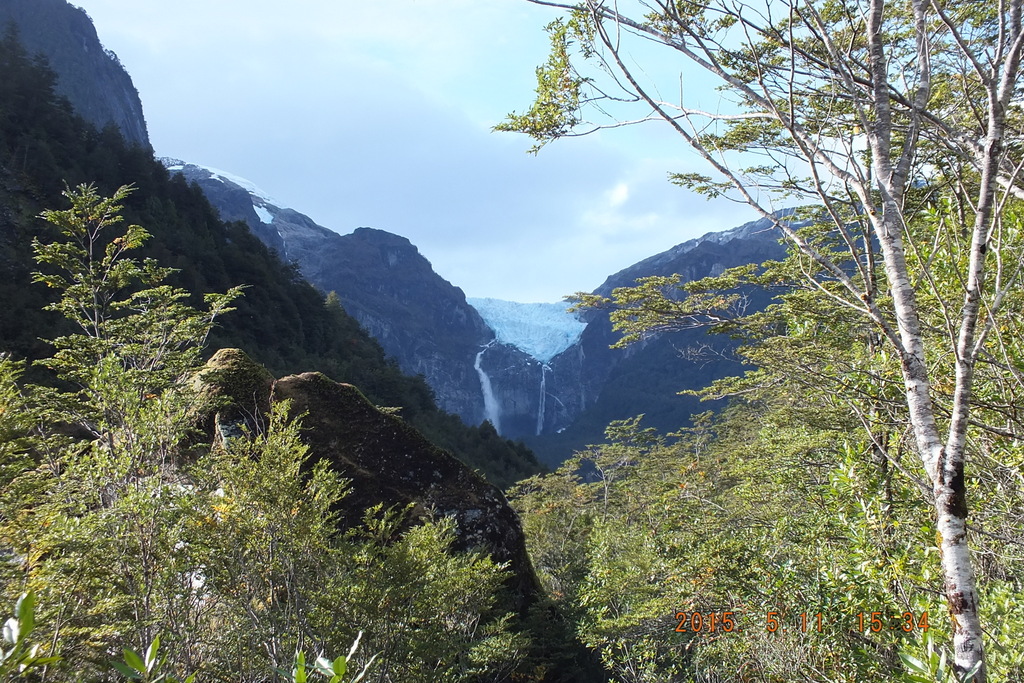 Foto: Parque Nacional Queulats - Aysen (Aisén del General Carlos Ibáñez del Campo), Chile