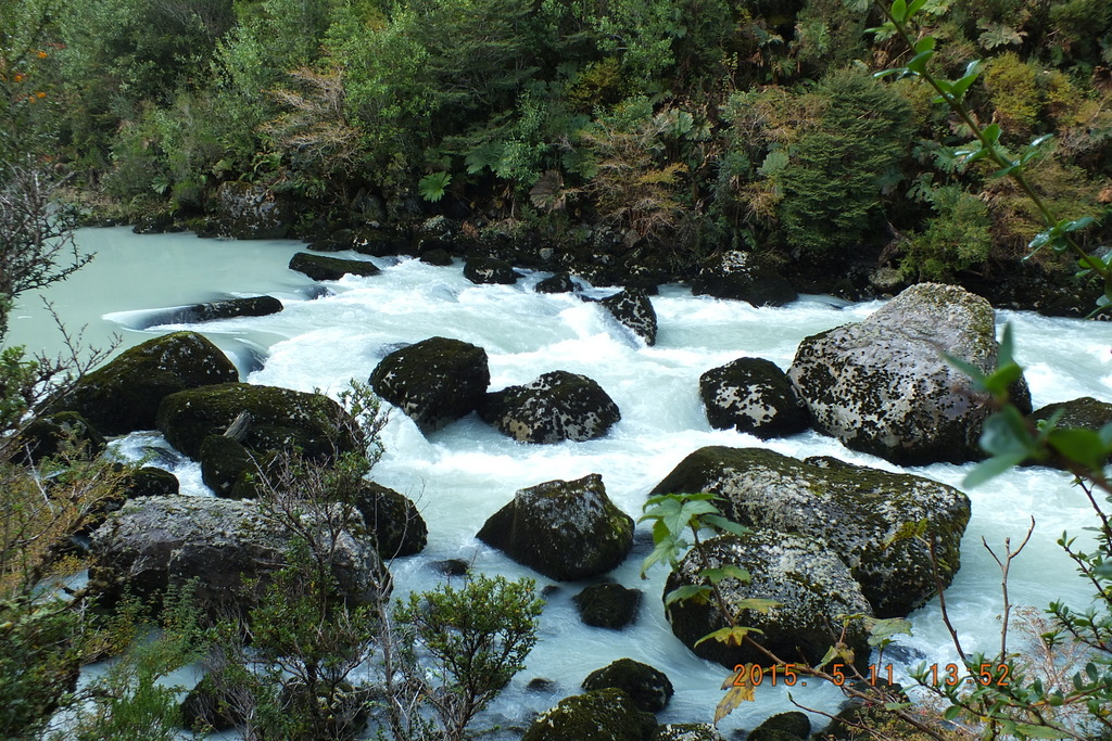 Foto: Parque Nacional Queulats - Aysen (Aisén del General Carlos Ibáñez del Campo), Chile