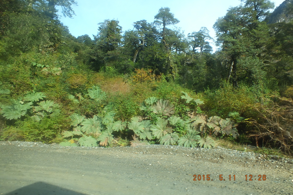 Foto: Carretera Austral - Aysen (Aisén del General Carlos Ibáñez del Campo), Chile