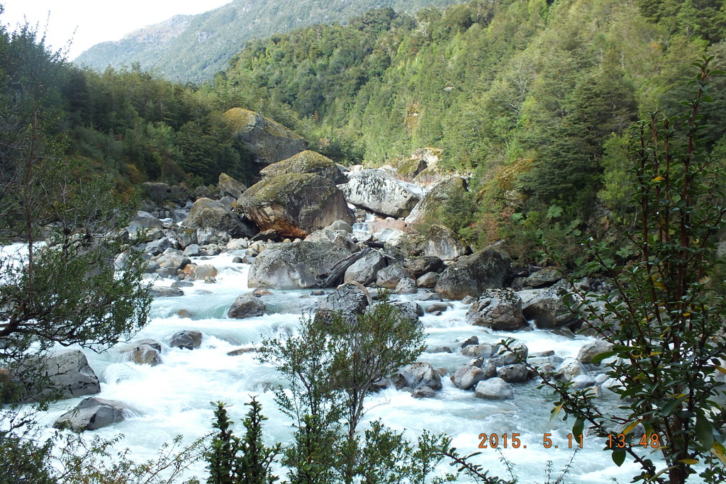 Foto: Parque Nacional Queulats - Aysen (Aisén del General Carlos Ibáñez del Campo), Chile