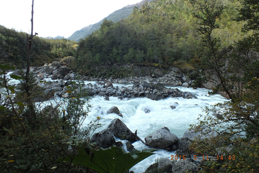 Foto: Parque Nacional Queulats - Aysen (Aisén del General Carlos Ibáñez del Campo), Chile