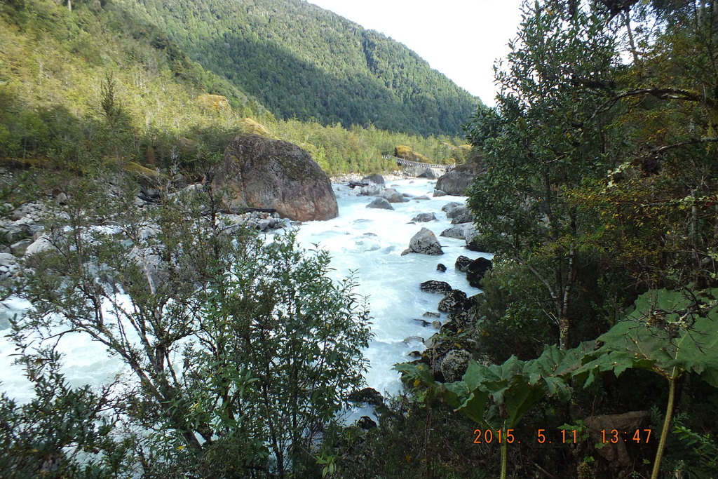 Foto: Parque Nacional Queulats - Aysen (Aisén del General Carlos Ibáñez del Campo), Chile