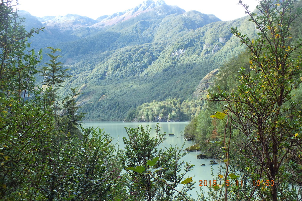 Foto: Parque Nacional Queulats - Aysen (Aisén del General Carlos Ibáñez del Campo), Chile