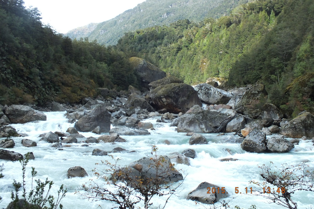 Foto: Parque Nacional Queulats - Aysen (Aisén del General Carlos Ibáñez del Campo), Chile