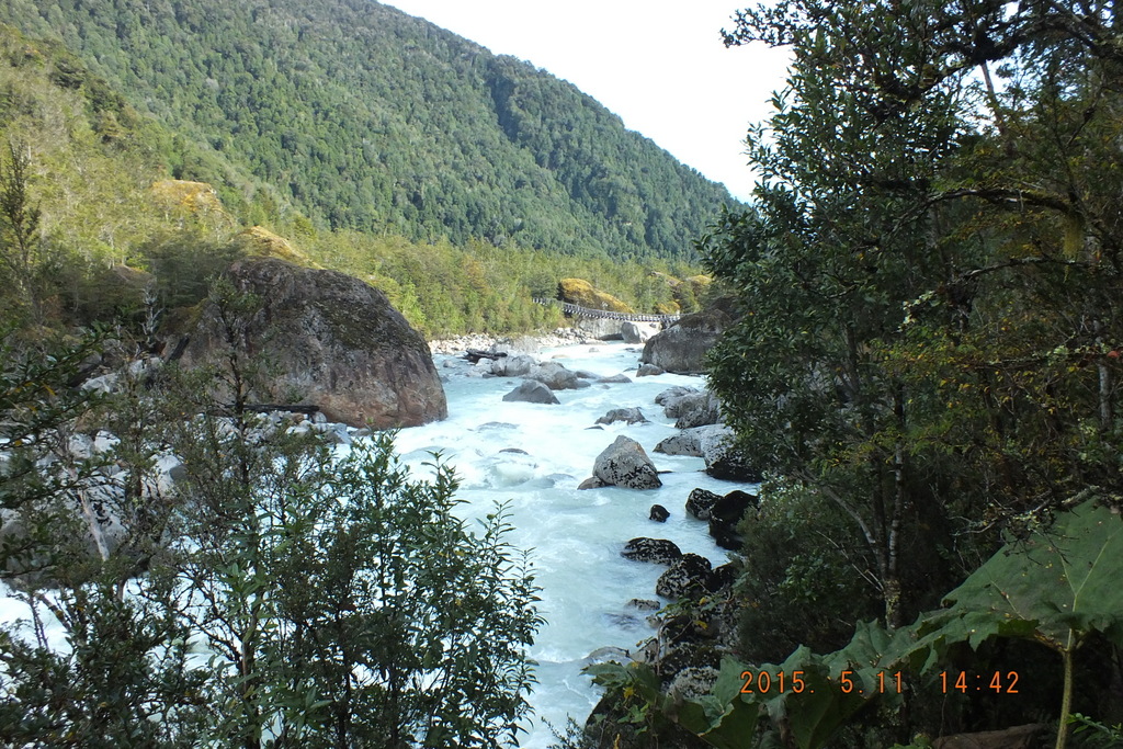 Foto: Parque Nacional Queulats - Aysen (Aisén del General Carlos Ibáñez del Campo), Chile