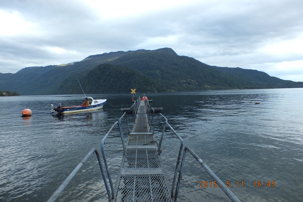 Foto: Parque Nacional Queulats - Aysen (Aisén del General Carlos Ibáñez del Campo), Chile