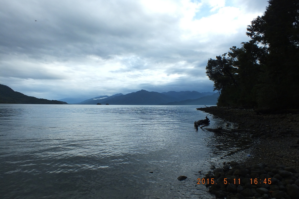 Foto: Parque Nacional Queulats - Aysen (Aisén del General Carlos Ibáñez del Campo), Chile