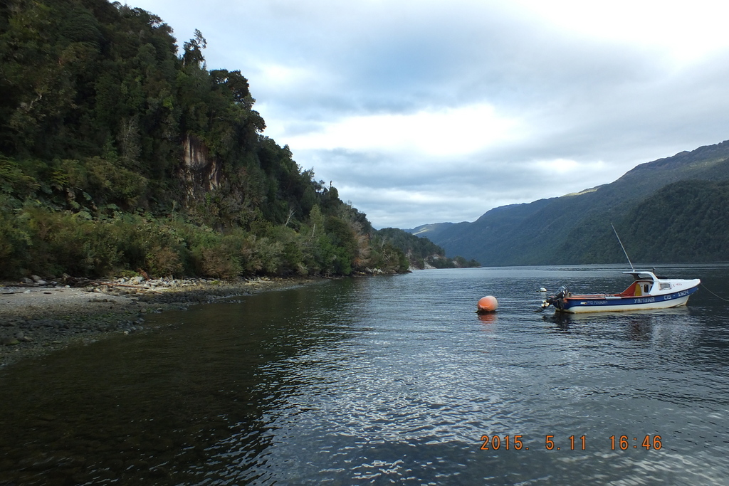 Foto: Parque Nacional Queulats - Aysen (Aisén del General Carlos Ibáñez del Campo), Chile
