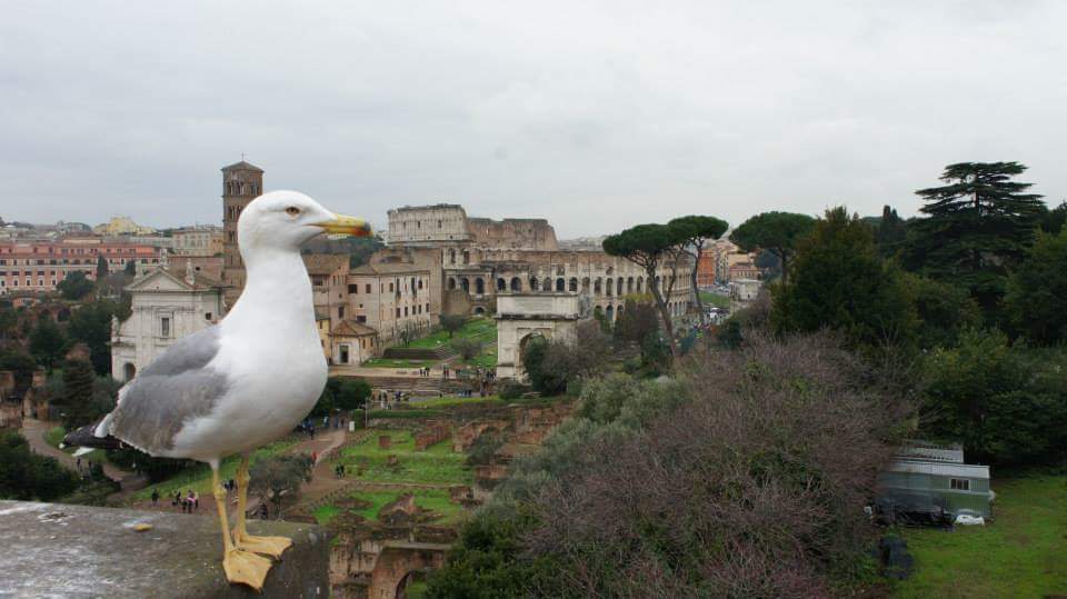 Foto de Roma, Italia