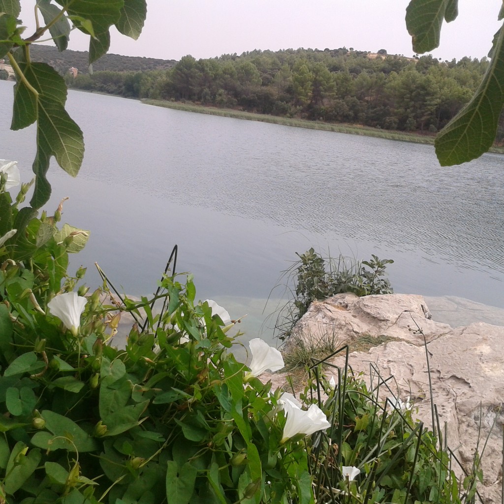 Foto de Ruidera (Albacete), España
