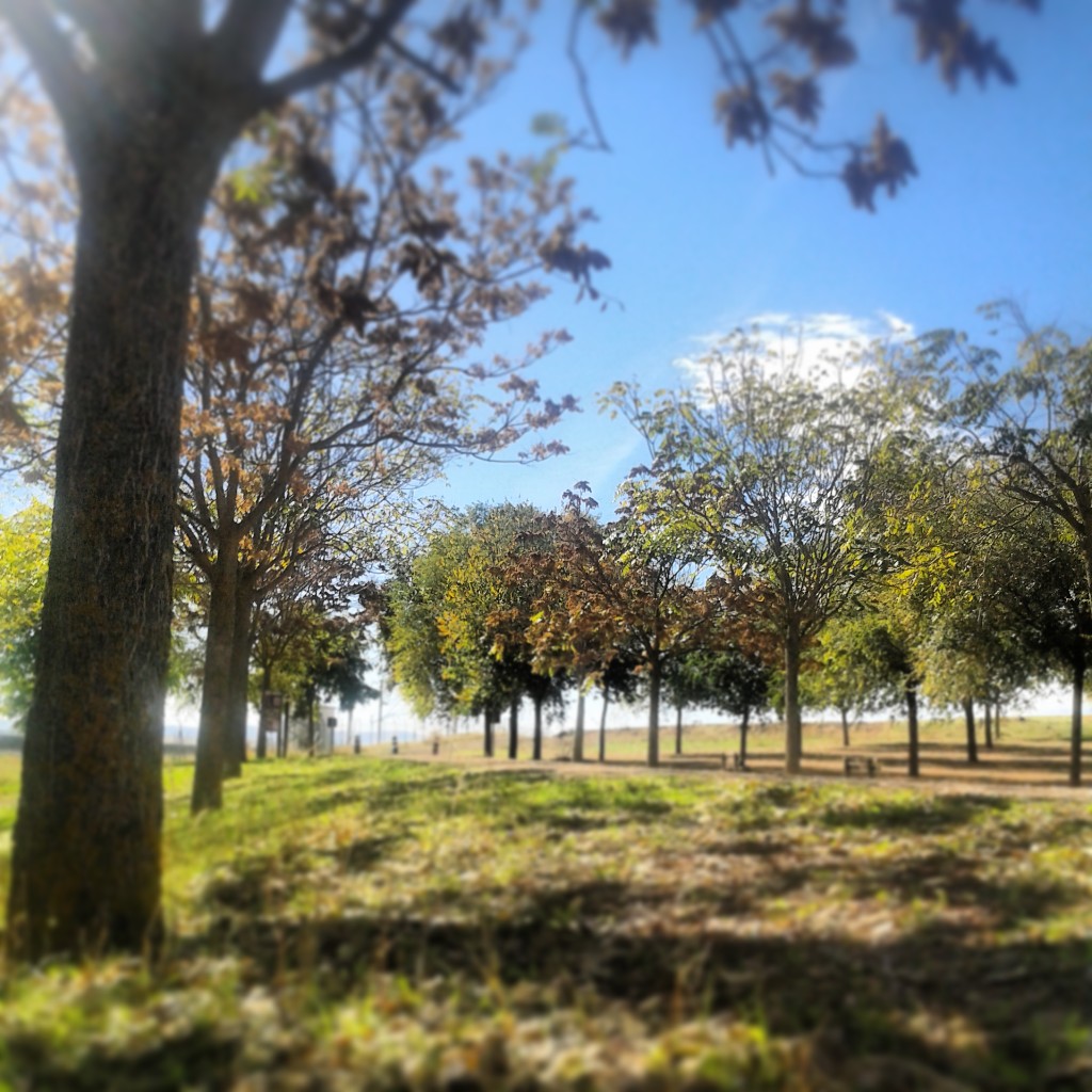 Foto de Ciudad Real (Castilla La Mancha), España