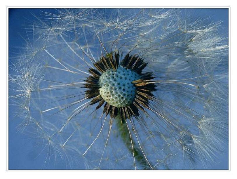 Foto de Hamburgo (Hamburg City), Alemania