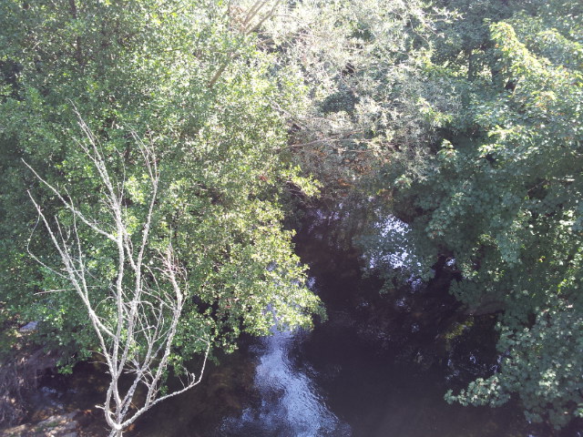 Foto de Lugo (A Coruña), España