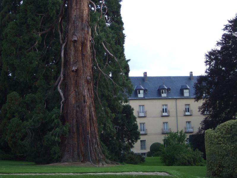 Foto de La Granja (Segovia), España