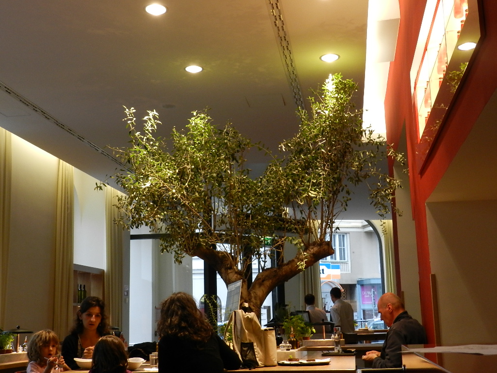 Foto de Vienna, Austria