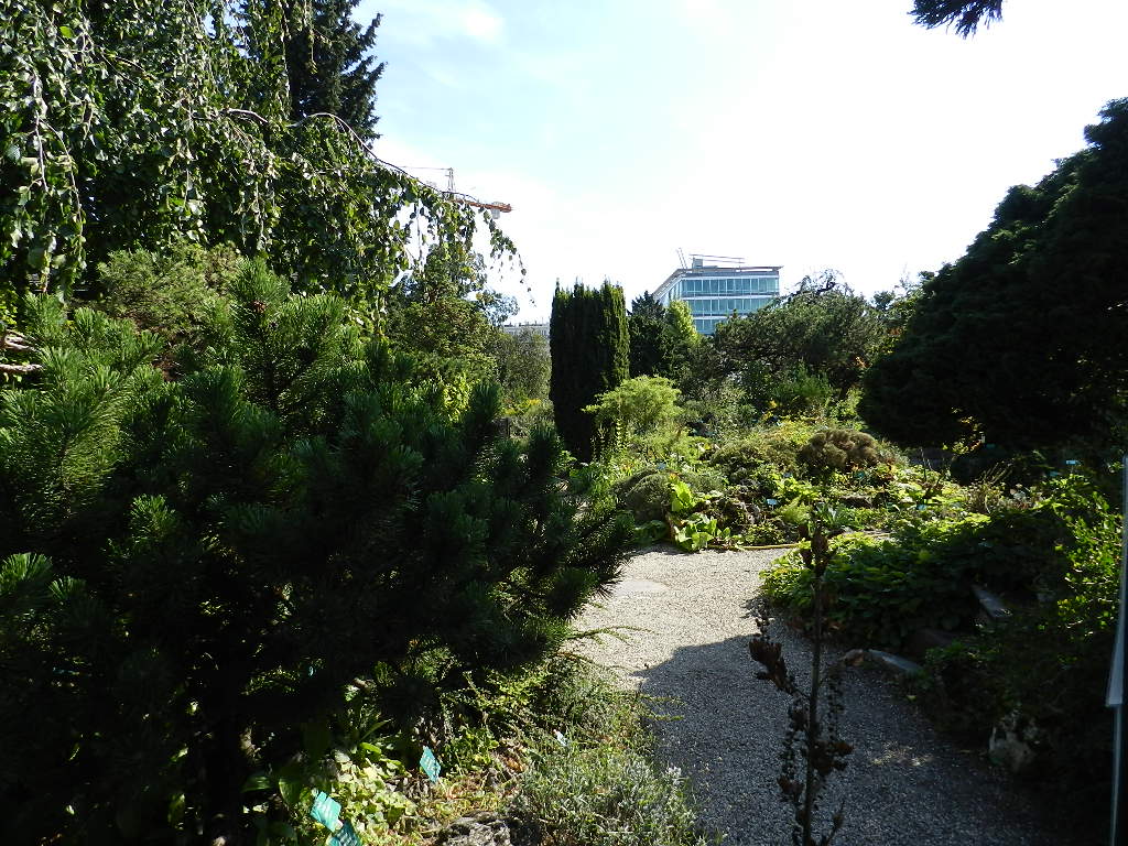 Foto de Vienna, Austria