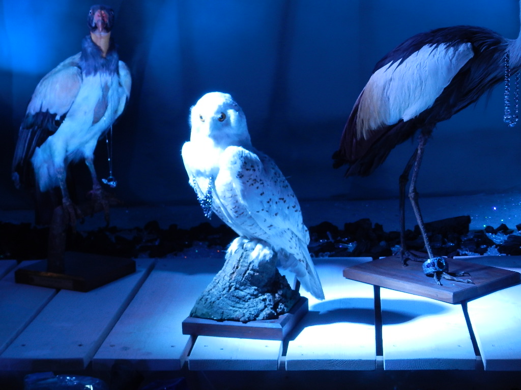 Foto de Vienna, Austria