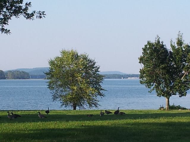 Foto de Guntersville (Alabama), Estados Unidos