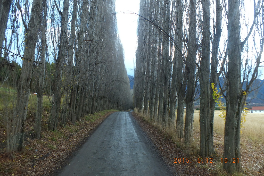 Foto: Coyhaique - Coyhaique (Aisén del General Carlos Ibáñez del Campo), Chile