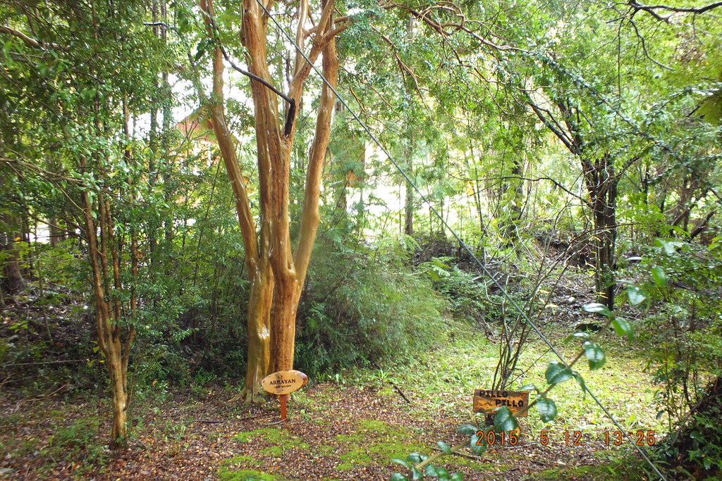 Foto: Aysen - aysen (Aisén del General Carlos Ibáñez del Campo), Chile