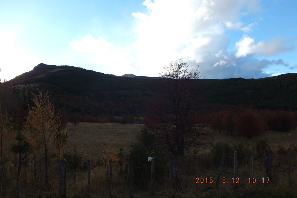 Foto: Coyhaique - Coyhaique (Aisén del General Carlos Ibáñez del Campo), Chile