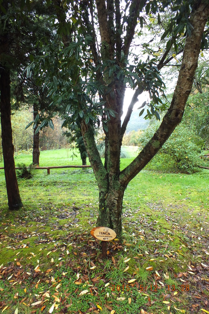 Foto: Aysen - Aysen (Aisén del General Carlos Ibáñez del Campo), Chile