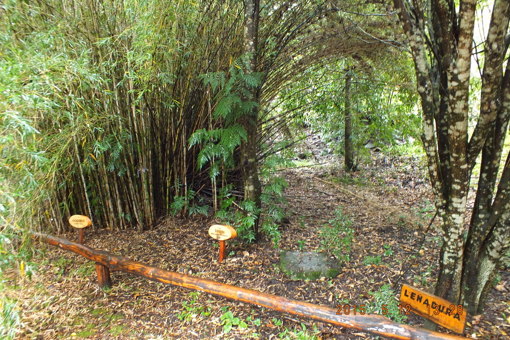 Foto: Aysen - Aysen (Aisén del General Carlos Ibáñez del Campo), Chile