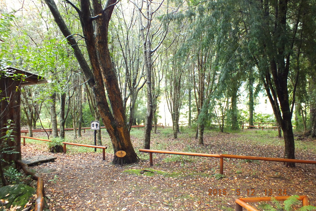 Foto: Aysen - Aysen (Aisén del General Carlos Ibáñez del Campo), Chile