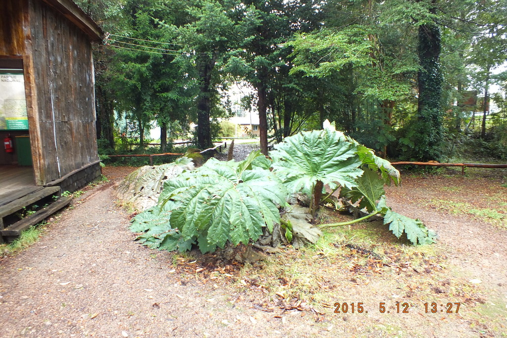 Foto: Aysen - Aysen (Aisén del General Carlos Ibáñez del Campo), Chile