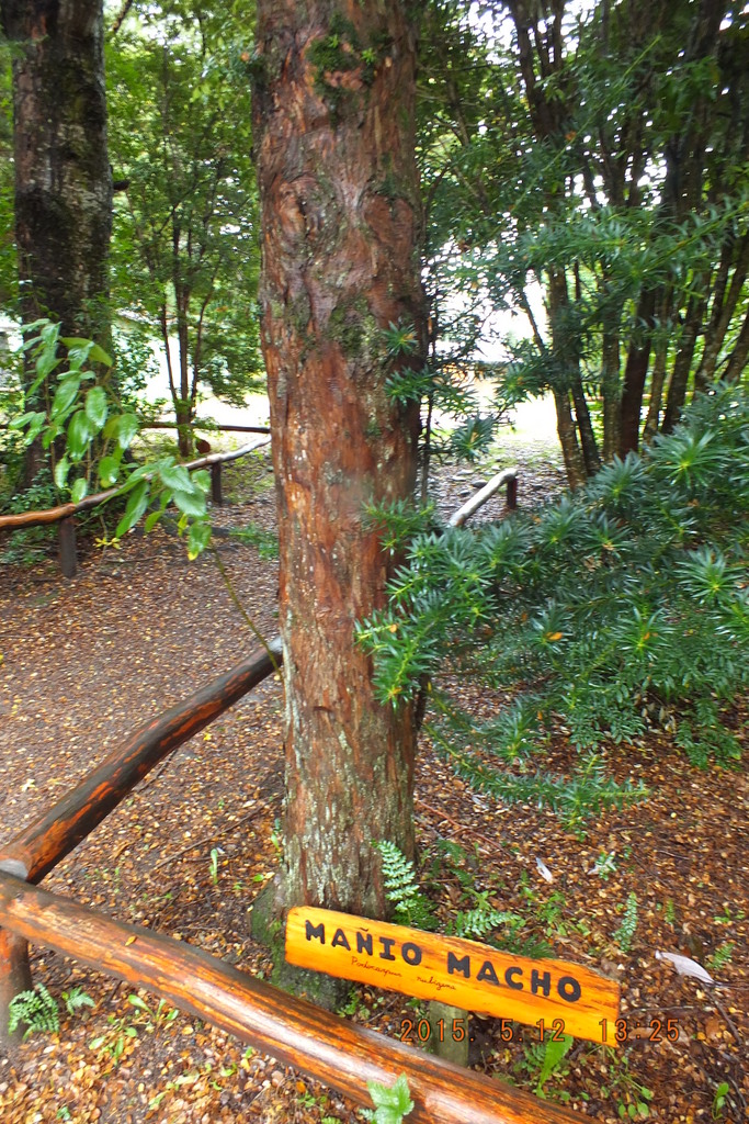 Foto: Aysen - Aysen (Aisén del General Carlos Ibáñez del Campo), Chile