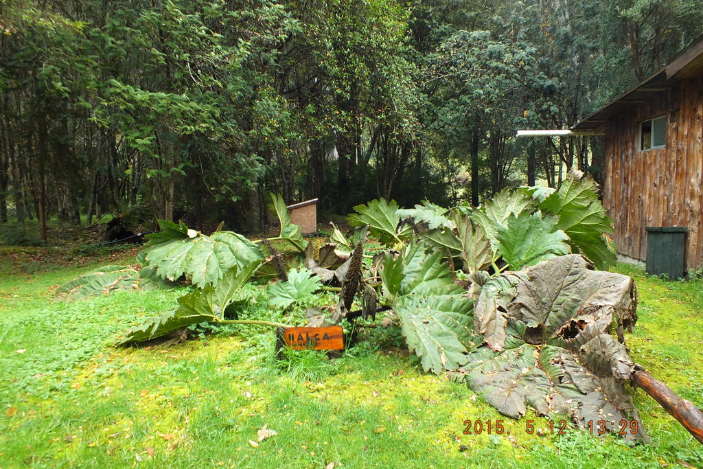Foto: Aysen - Aysen (Aisén del General Carlos Ibáñez del Campo), Chile