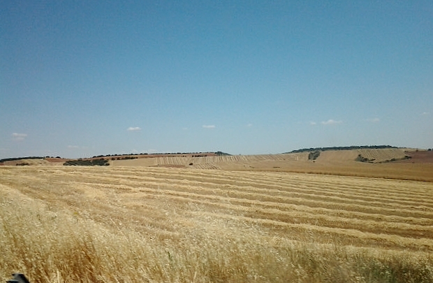 Foto: Paisaje - Hita (Guadalajara), España