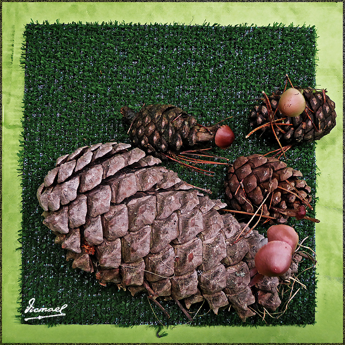 Foto: 161106-34 Exposicion De Setas - Zaragoza (Aragón), España