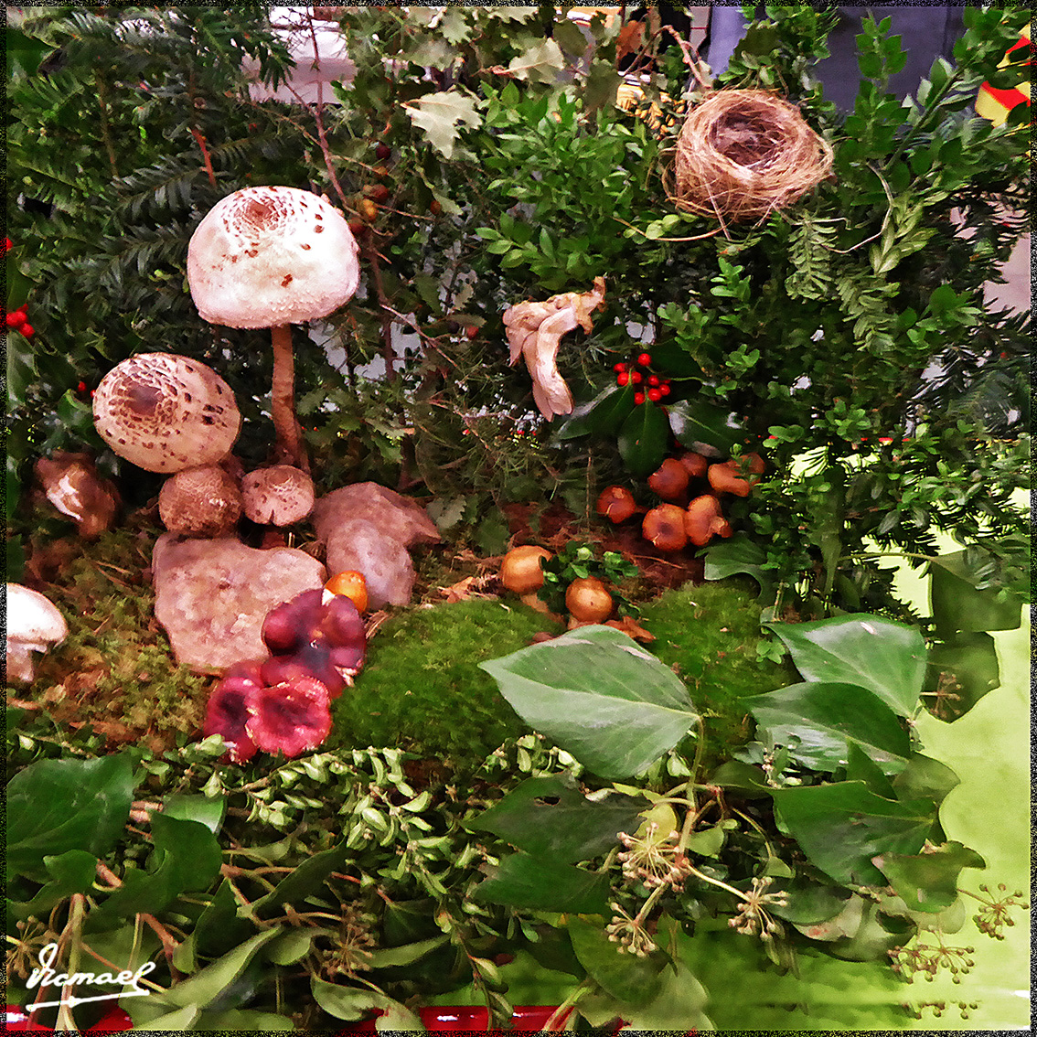 Foto: 161106-20 Exposicion De Setas - Zaragoza (Aragón), España