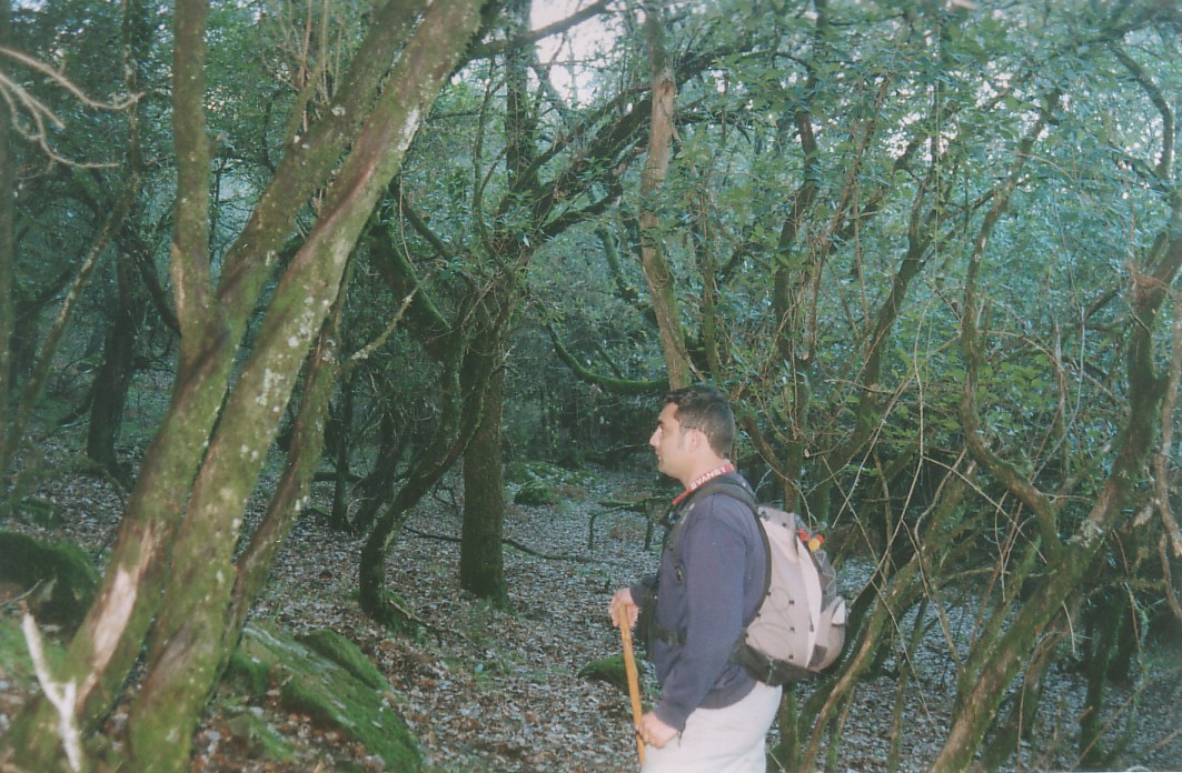 Foto de Alcalá de los Gazules (Cádiz), España