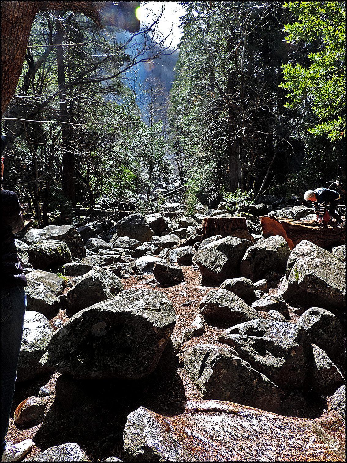 Foto: 160421-044 YOSEMITE - Yosemite (California), Estados Unidos