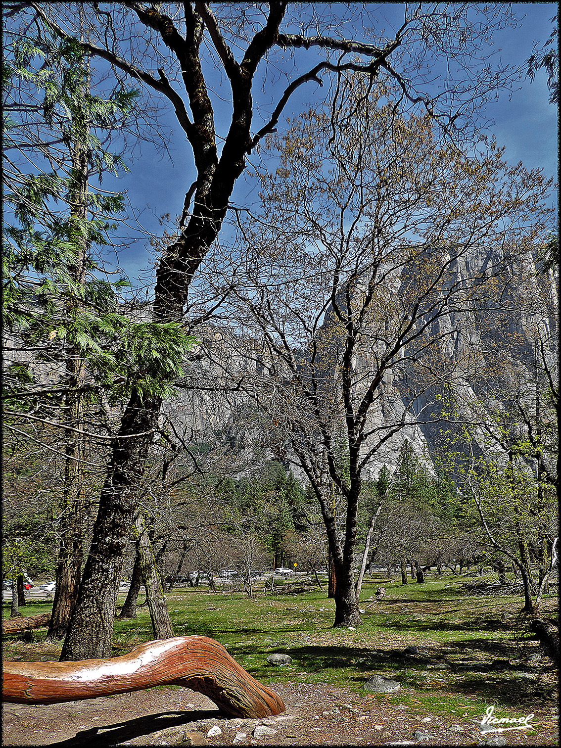 Foto: 160421-049 YOSEMITE - Yosemite (California), Estados Unidos
