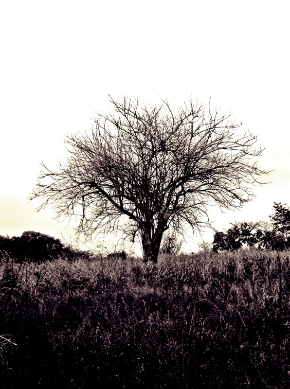 Foto: Cuidemos el ambiente - Yopales (Anzoátegui), Venezuela